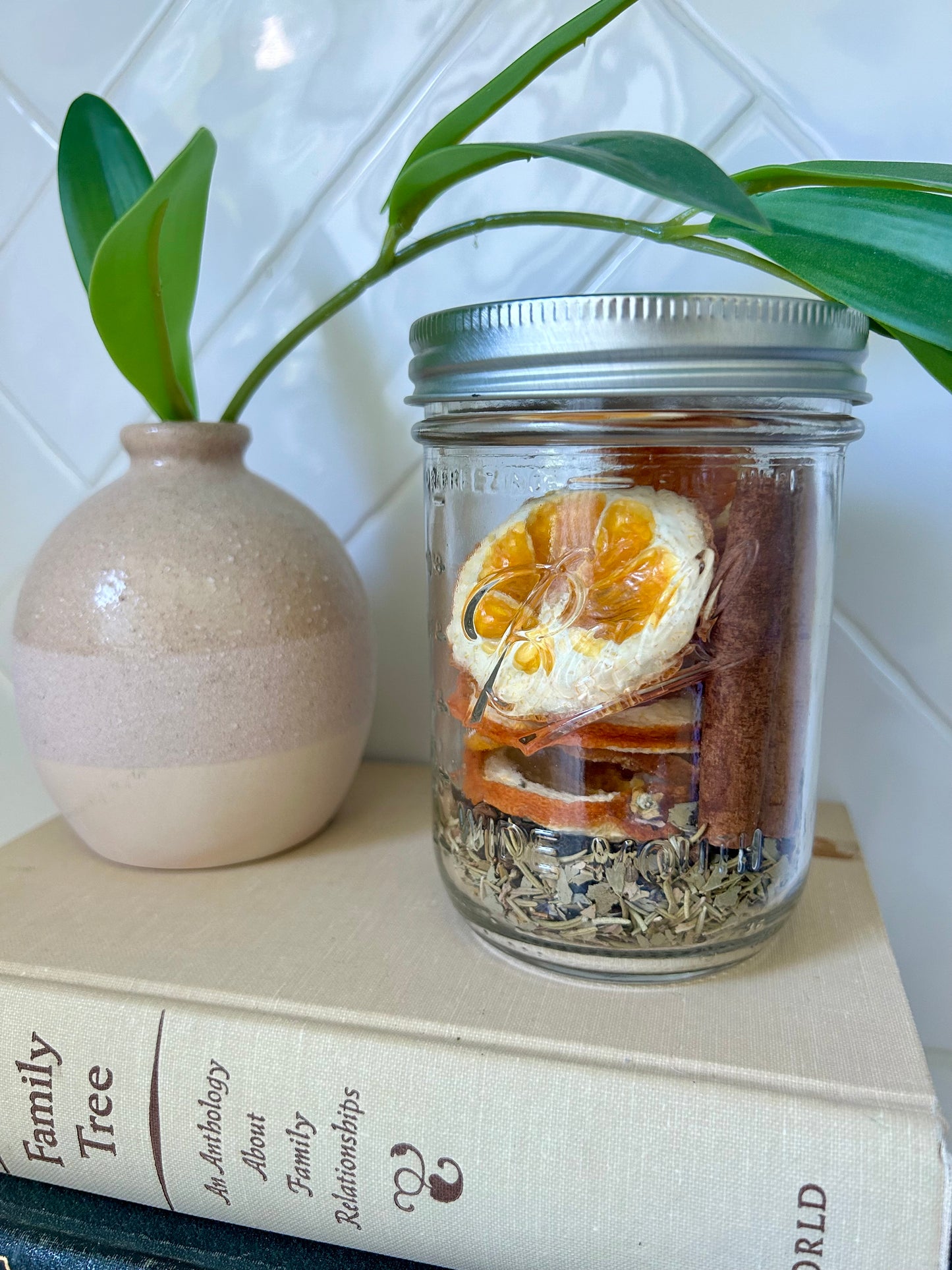 Allergy + Sinus Simmer Pot Jar